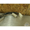 Paire de clignotant Aprilia ETV 1000 Caponord 2004 a 2012 