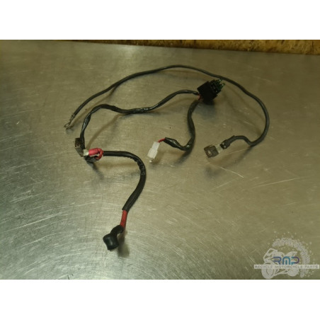 Support de fusible Aprilia ETV 1000 Caponord 2004 a 2012 