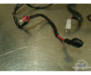 Support de fusible Aprilia ETV 1000 Caponord 2004 a 2012 