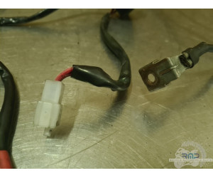 Support de fusible Aprilia ETV 1000 Caponord 2004 a 2012 