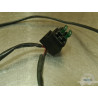 Support de fusible Aprilia ETV 1000 Caponord 2004 a 2012 