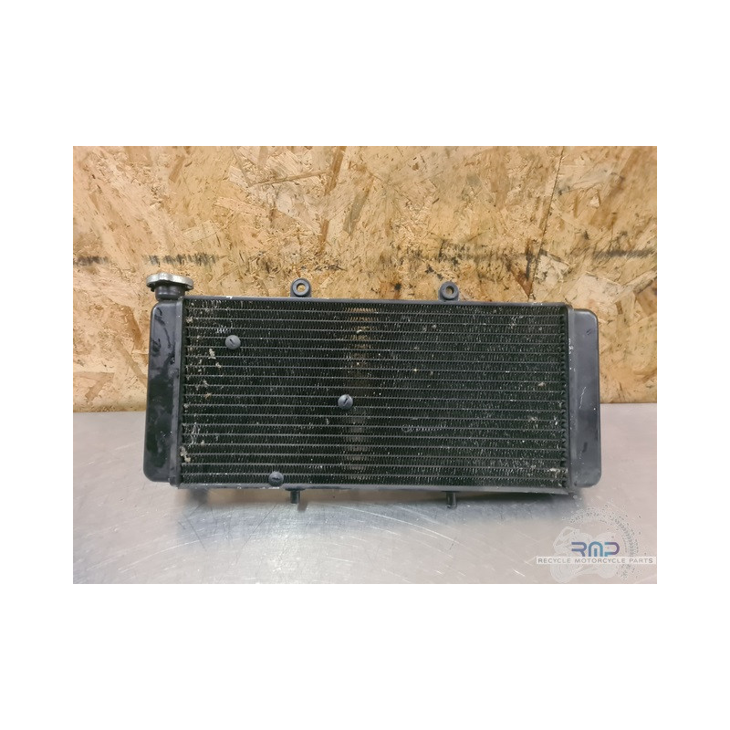 Radiateur d'eau Aprilia ETV 1000 Caponord 2004 a 2012 
