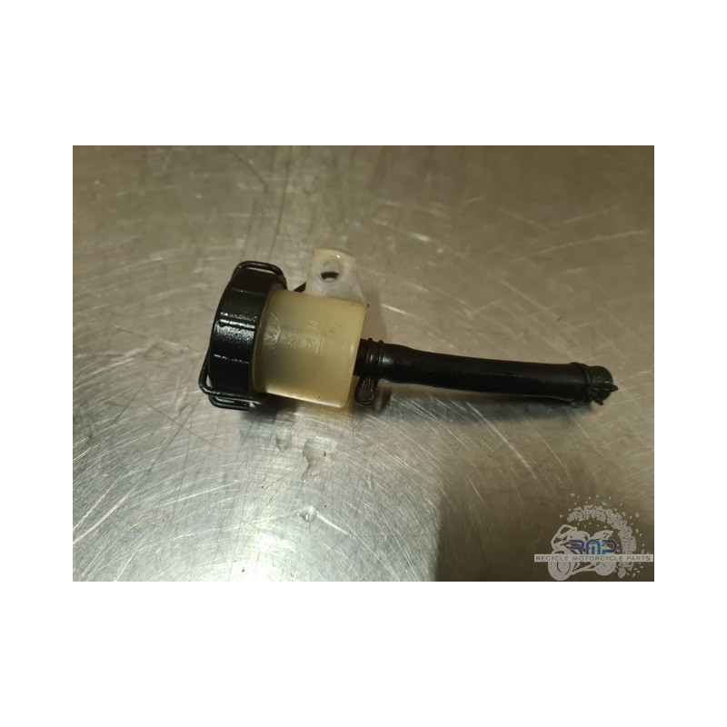Aprilia ETV 1000 Caponord 2004 a 2012 
