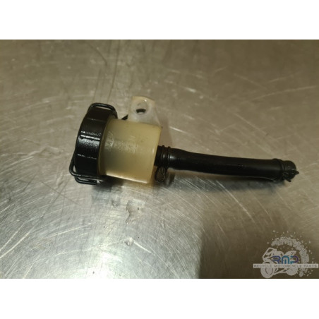 Aprilia ETV 1000 Caponord 2004 a 2012 