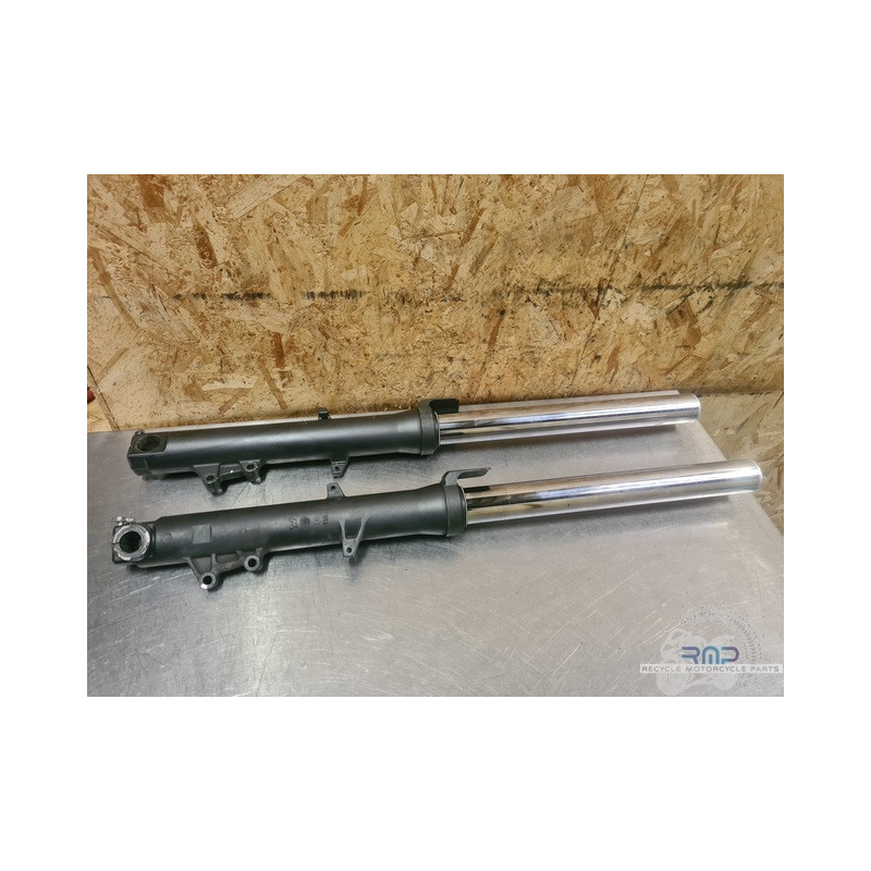 Paire de tube de fourche Aprilia ETV 1000 Caponord 2004 a 2012 