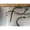 Durites de frein Yamaha 900 TDM 2002 à 2014 