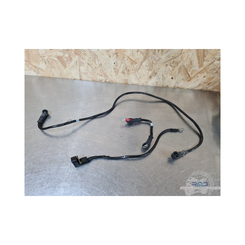 Cable de masse Ducati 1100 Monster Evo 20th anniversary  