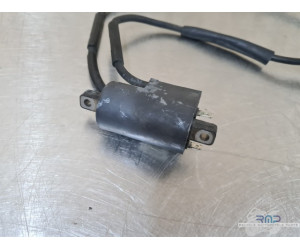 Bobine d'allumage 1 - 4 Suzuki GSF 600 Bandit N 2000 à 2004 