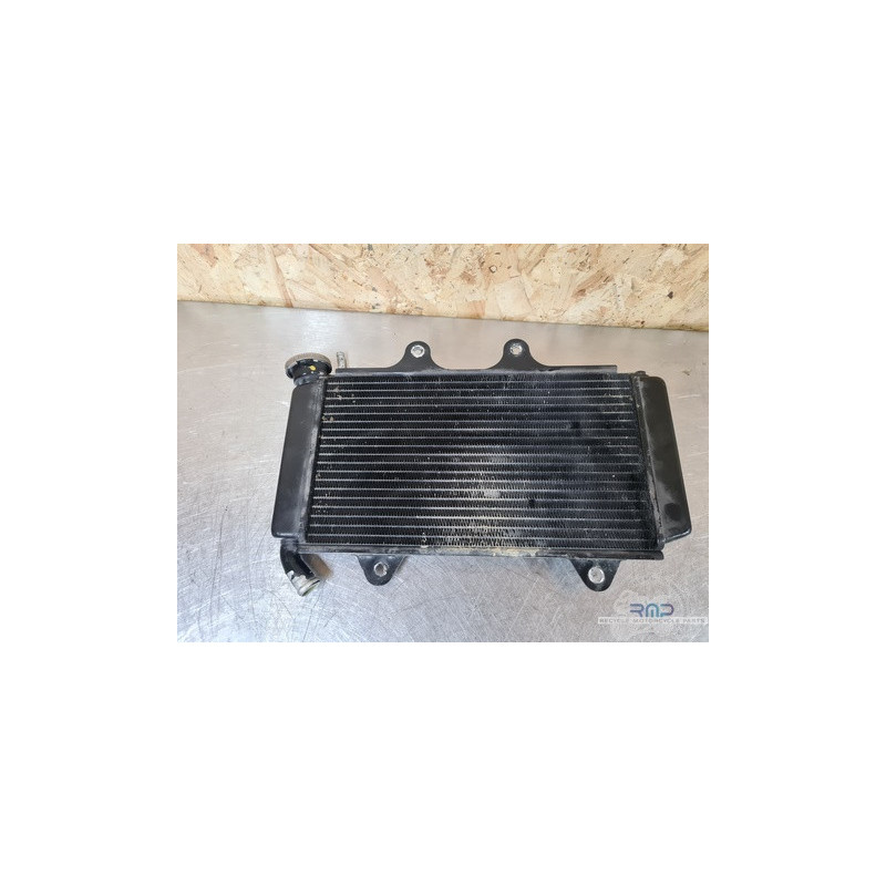 Radiateur d'eau KTM 390 RC 2014 à 2020 