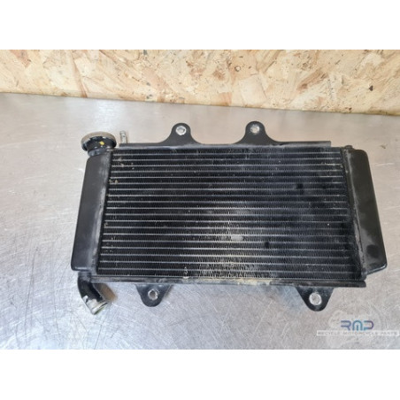 Radiateur d'eau KTM 390 RC 2014 à 2020 