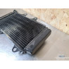 Radiateur d'eau KTM 390 RC 2014 à 2020 