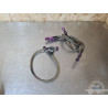 Durites de frein avia Yamaha YZF R6 1999 à 2002