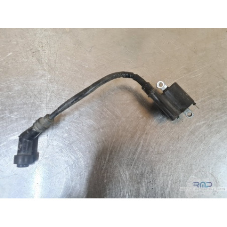 Bobine d'allumage Honda CBR 125 2011 à 2016 