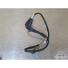 Sonde lambda neuve Porsche cayenne 955 2006 Suzuki SV 650 S 2003 à 2009 