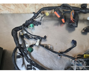 Faisceau électrique principal Suzuki GSXR 600 2004 à 2005 
