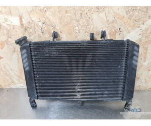 Radiateur d'eau Yamaha MT-09 2014 à 2016 