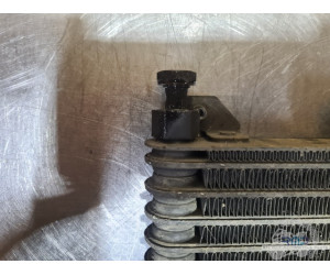 Radiateur d'huile Triumph 1200 Trophy 1996 à 2003 
