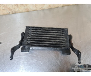 Radiateur d'huile Moto Guzzi V11 Le mans  