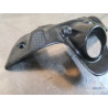 Entourage de neiman carbone Ducati Panigale 955 V2 2022 à 2024 