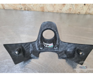 Entourage de neiman carbone Ducati Panigale 955 V2 2022 à 2024 