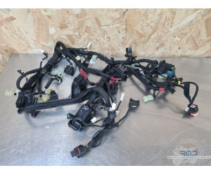 Faisceau électrique principal Ducati Panigale 955 V2 2022 à 2024 