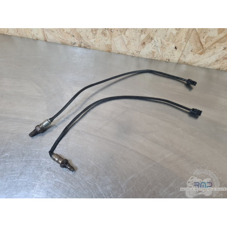 Sonde lambda x1 Ducati Panigale 955 V2 2022 à 2024 
