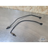 Sonde lambda x1 Ducati Panigale 955 V2 2022 à 2024 