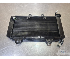 Radiateur d'eau Husqvarna 401 Vitpilen 2020 à 2024 