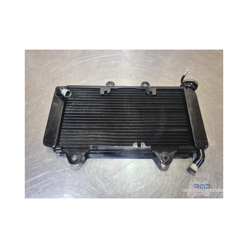 Radiateur d'eau Husqvarna 401 Vitpilen 2020 à 2024 
