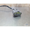 Stator Triumph 660 Trident Husqvarna 401 Vitpilen 2020 à 2024 
