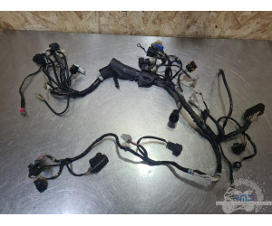 Faisceau électrique principal Husqvarna 510 SMR 2005 à 2010 