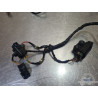 Faisceau électrique principal Husqvarna 510 SMR 2005 à 2010 