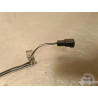 Cable de masse Suzuki SV 650 1999 à 2002 