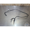 Cable de masse Husqvarna 401 Vitpilen  
