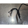 Cable de masse Husqvarna 401 Vitpilen  