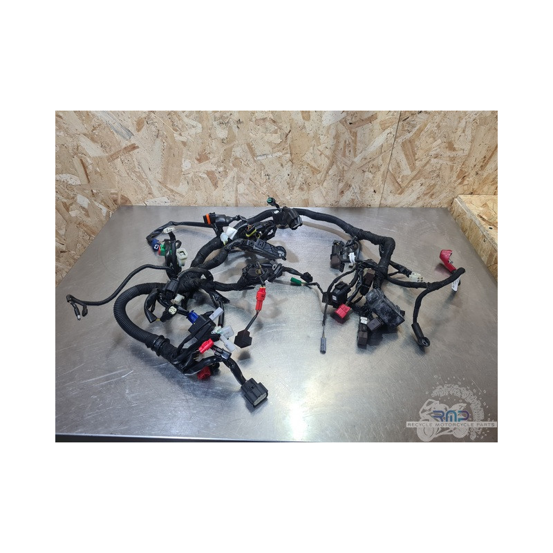 Faisceau électrique principal Husqvarna 401 Vitpilen  