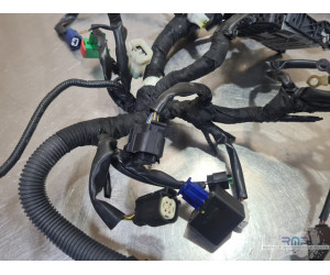 Faisceau électrique principal Husqvarna 401 Vitpilen  