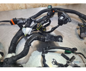 Faisceau électrique principal Husqvarna 401 Vitpilen  