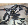 Faisceau électrique principal Husqvarna 401 Vitpilen  