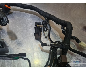Faisceau électrique principal Husqvarna 401 Vitpilen  