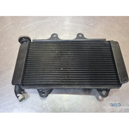 Radiateur d'eau Husqvarna 401 Vitpilen  