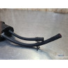Canistere Husqvarna 401 Vitpilen  
