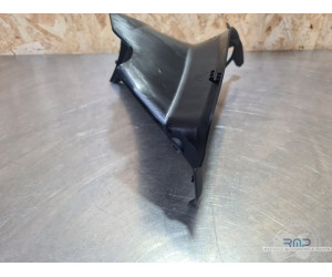 Cacheplastiquegauche Ducati Panigale V4 2025  