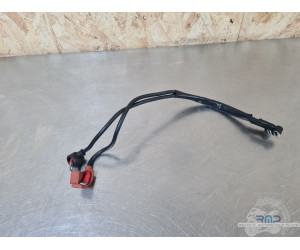 Cable de masse MV Agusta F3 800 2013 à 2020 