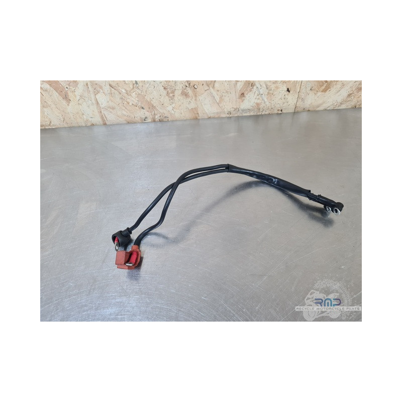 Cable de masse MV Agusta F3 800 2013 à 2020 