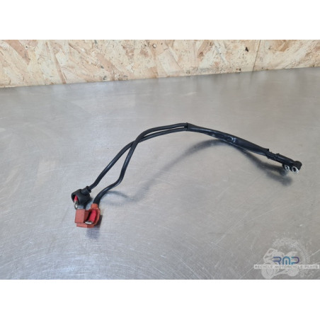 Cable de masse MV Agusta F3 800 2013 à 2020 