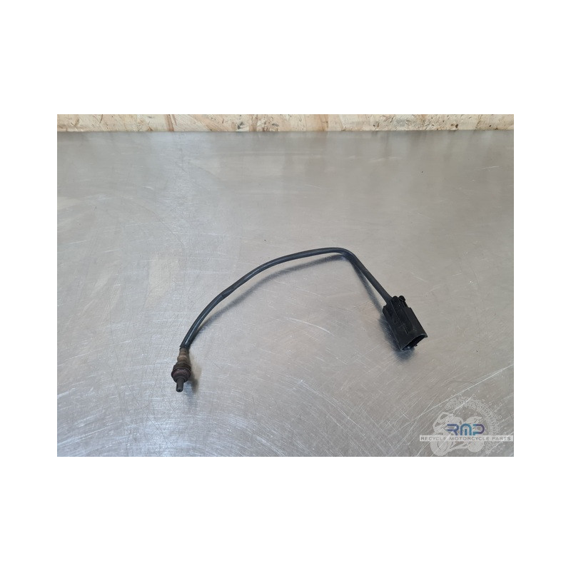 Sonde lambda MV Agusta F3 800 2013 à 2020 